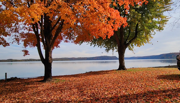 Susquehanna River at Long Level, PA