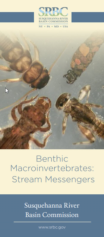 SRBC Benthic Macroinvertebrates Pamphlet