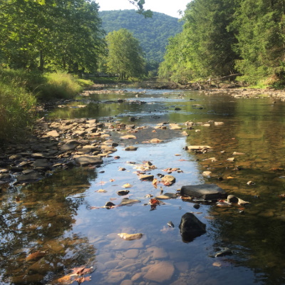 First Fork Sinnemahoning Creek, Potter County, Pennsylvania